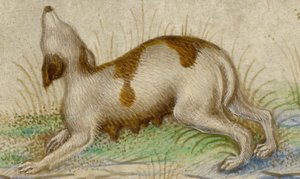 Heures - Taddeo Crivelli